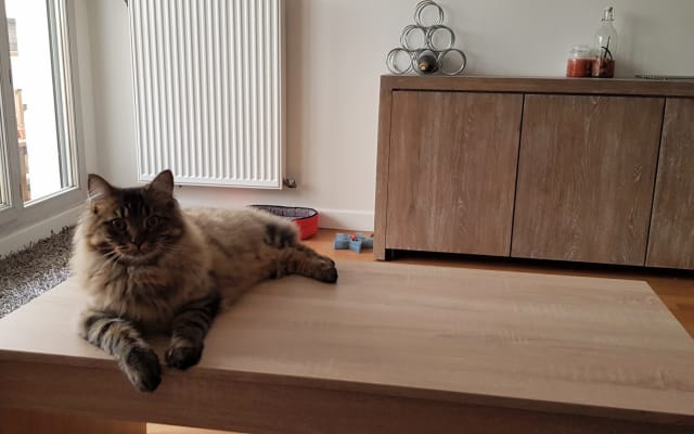 Samuels Inserat auf misterb&b - Salon