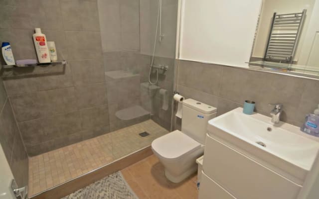 Cosy and bright apartment in South East London