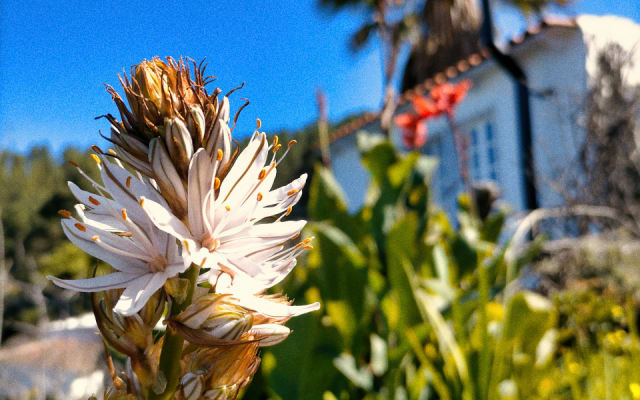 Finca La Milagrosa - Casita De Las Estrellas - Picture 9