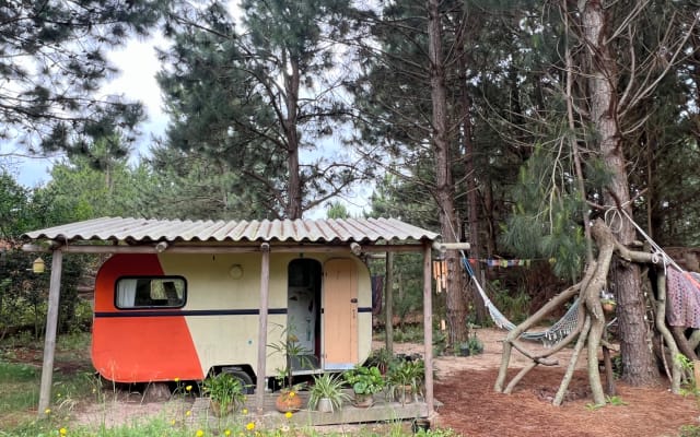 Camping, Glamping und Ökotherapie