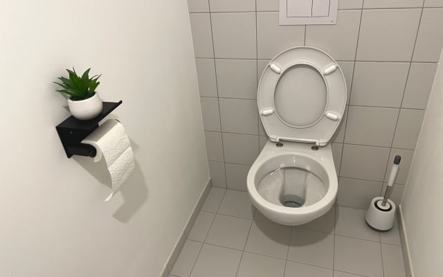 Dragans Inserat auf misterb&b - Toilet 