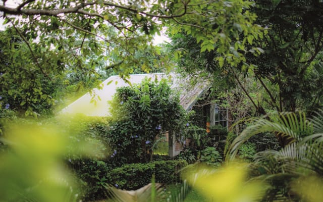 Discover Serenity at Our Eco-Friendly Forest House