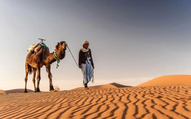 Dar Toda - Authentic Moroccan Stay in Zagora