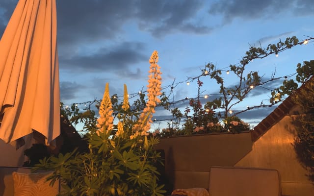 Martijn en Bobs Inserat auf misterb&b - View from the rooftop