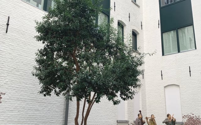 Martijn en Bobs Inserat auf misterb&b - Inner courtyard of the building