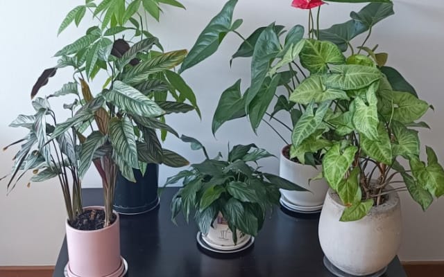 Appartement dans le nord de Bogota. Chambre et salle de bain privées.