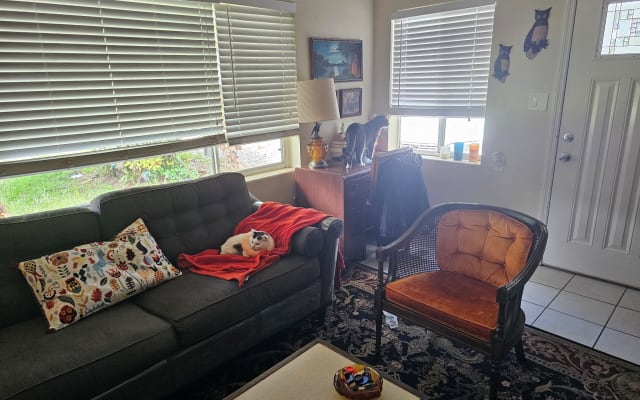 Private room in College Park area of Orlando. Super location.