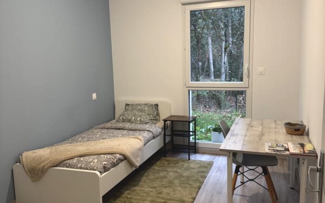 Cosy room near Toulouse with friendly host and local tips