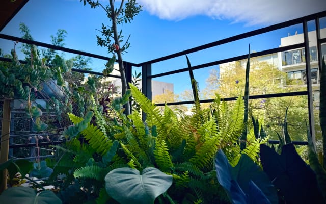 Great apartment in CDMX  - Picture 10