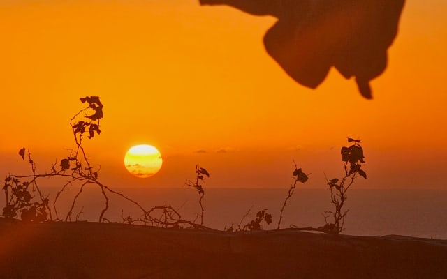 Private room in beautiful and quiet rural cottage in Maspalomas