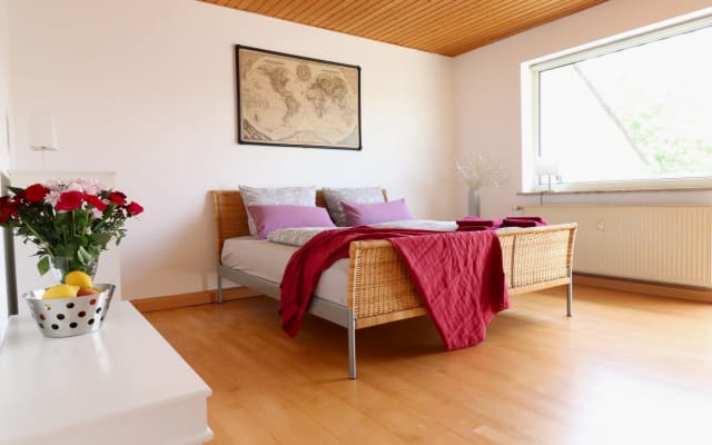 Gutenberg - large, bright, cozy with balcony, near old town / university - Picture 11