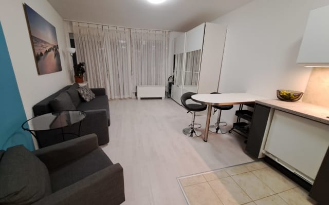 Appartement confortable près du centre ville parking gratuit inclus