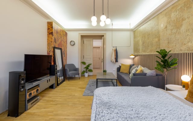Chambre privée de 35 m2, haute de plafond, avec télévision de 55...