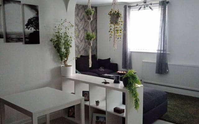 sofa bed in a cosy flat - Picture 7