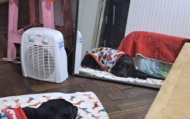 Super comfortable space in one of the safest neighborhoods in Buenos Aires. - Picture 2