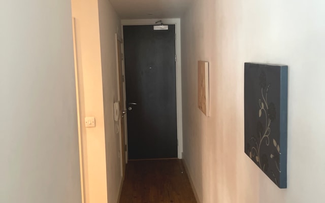 Birmingham central apartment