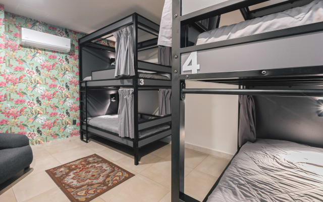 HOSTEL| Mixed Shared Room 7A