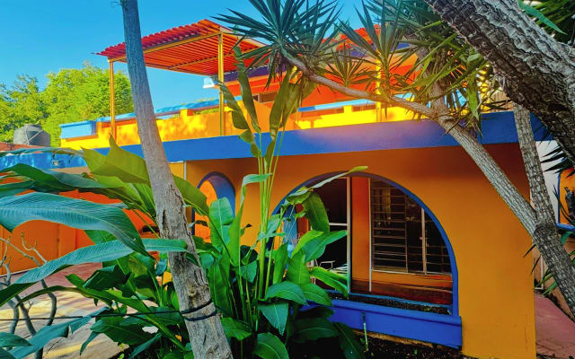 Richie's listing on misterb&b - This charming 75-year-old house has been restored and designed to use the surroundings for a unique, relaxed, and happy experience—where lingering and unwinding come naturally. Welcome to Los Colores.​