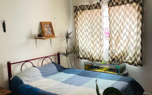 Zimmer in roma/condesa