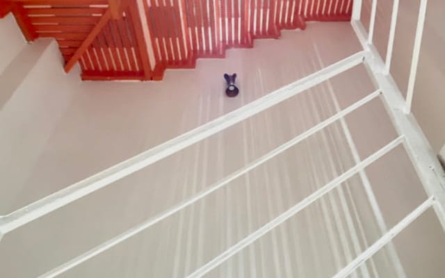 Studio accogliente e tranquillo - Zoo / Museo di storia / Consolato degli Stati Uniti - F1 - Foto 6