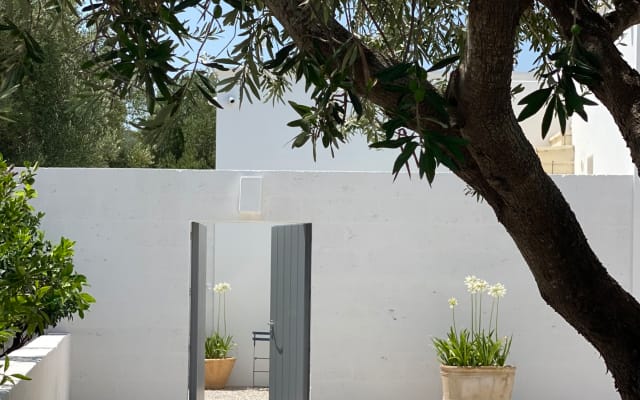 Casa Emilia - moderne Villa mit apulischem Flair inmitten von...