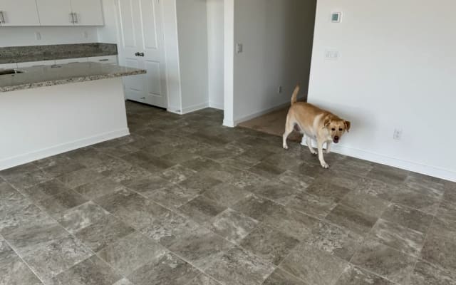 Fun safe place in Homeland California. Brand new house.