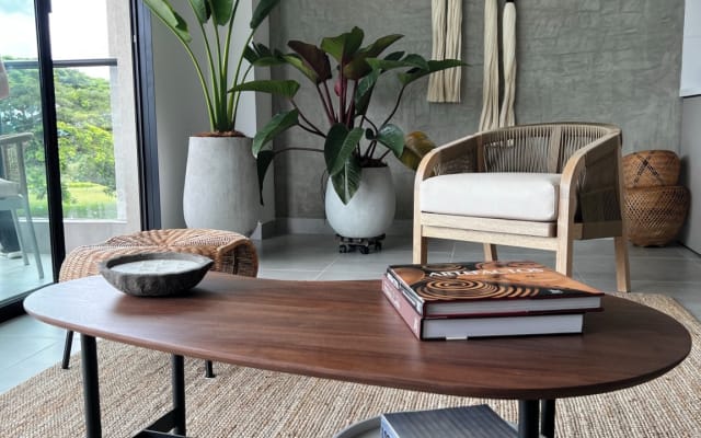 Tropical Apartment in the Coffee Region