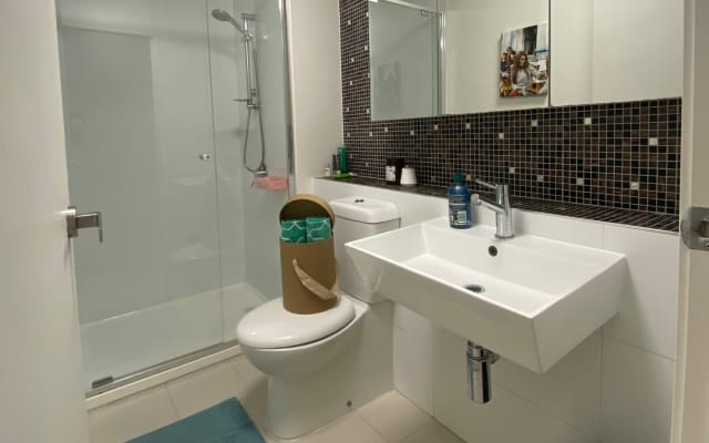 Chambre et salle de bain individuelle, appartement City à 2 lits