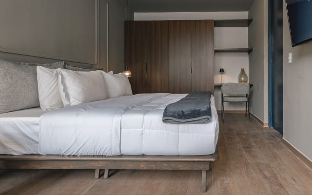 Indigo Veracruz Roma Nte Apt 1B