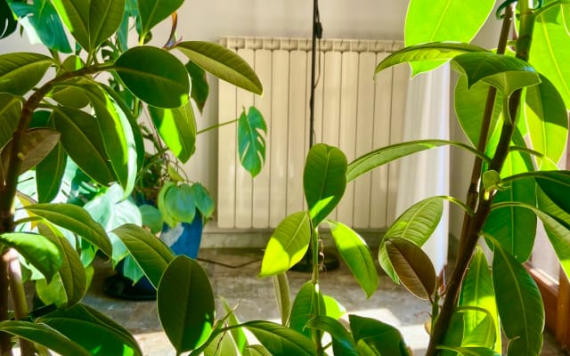 Apartamento luminoso e espaçoso de 5 assoalhadas em Florença, perto do 