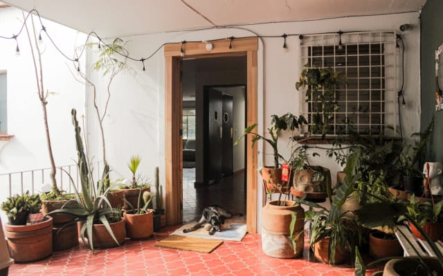 Home away from home, at Guadalajara