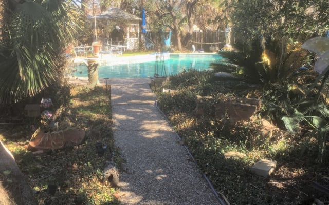 Papageien Hilton im Enchanted Cottage, Privatsphäre in der Nähe des...