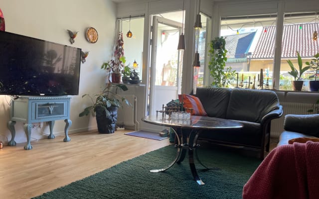 Couch in geräumiger Wohngemeinschaft für aufgeschlossene Reisende - Foto 10