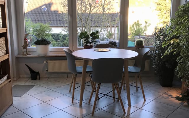 Beautiful house between vineyards and the Moselle. 20 minutes from...