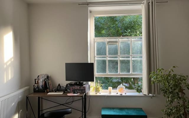 Cute and bright flat in central London (Zone 1)!