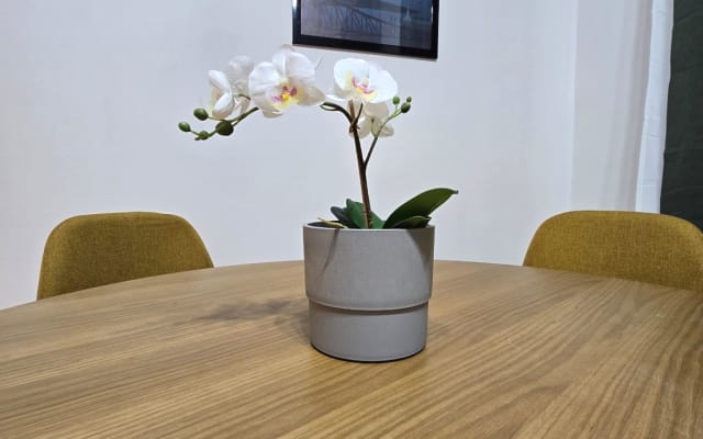 Prima - Charmantes Apartment im Stadtzentrum