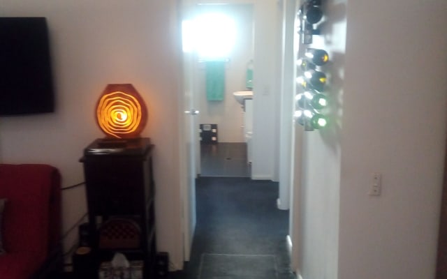 VUE ! City/Anzac Bridge/Blue Mountains - 1BR dans 2 BR Apt à Annandale - Photo 14