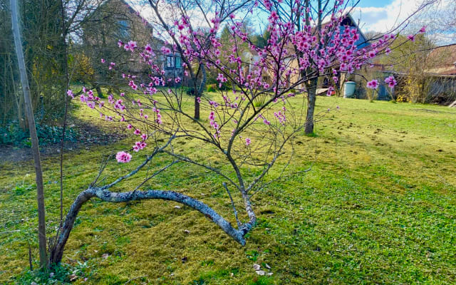 Joli maison au cœur du pays d’Othe