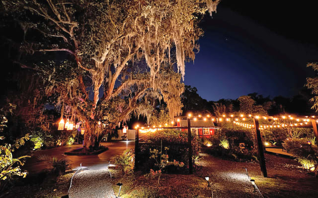 Stefan and Abraham's listing on misterb&b - Garden at night