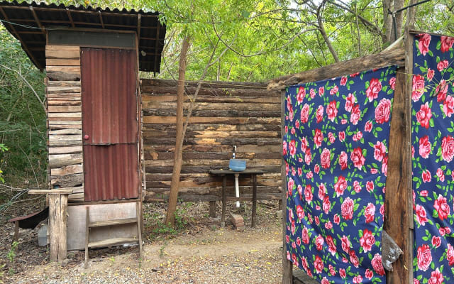 Planta - La Big Mama Cabin