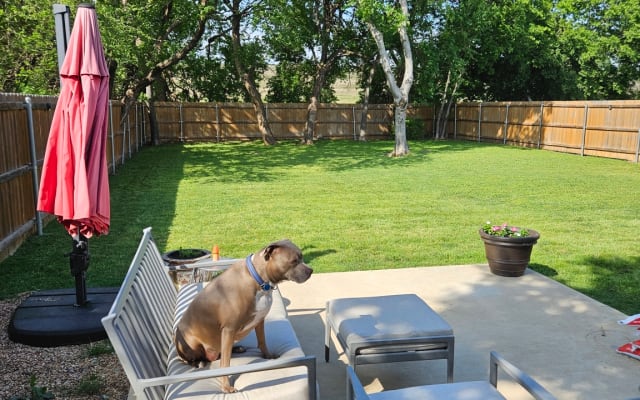 Beautiful remodeled house with private BR & Bath close to Downtown