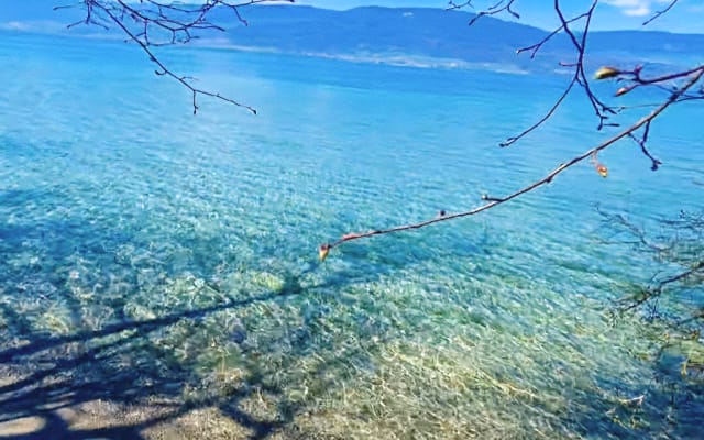 Chambre zen au bord du lac de Neuchâtel ! - Photo 13
