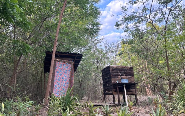 Planta - La Chuchi Cabin