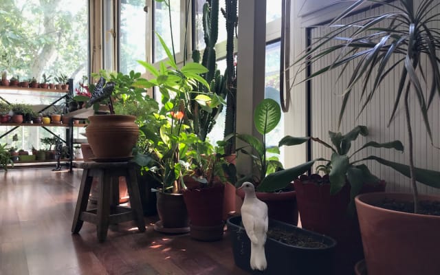 Casa EcoArt en el Bósforo - Foto 4