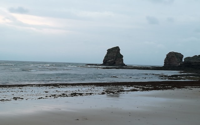 Quarto tranquilo e espaçoso em Hendaye (a 20 km de San Sebastián)