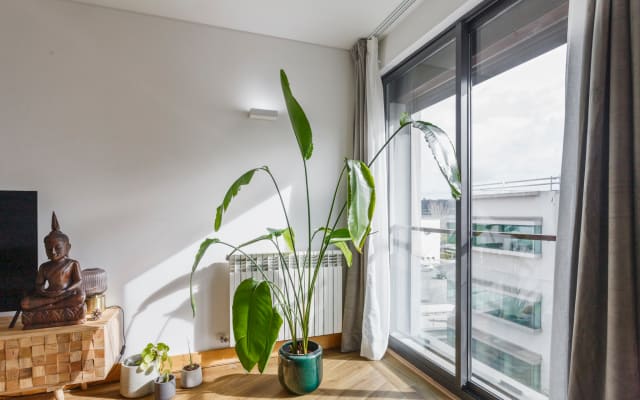 Lumineux, décontracté et bien connecté - entre rivière, plage et...