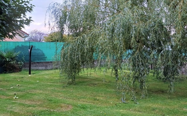 T2 duplex al piano terra in piccolo residence, piscina e giardino. 2...