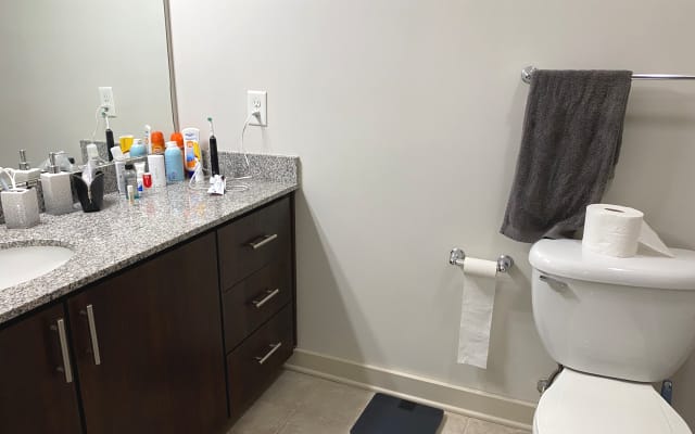 Beautiful apartment in Midtown
