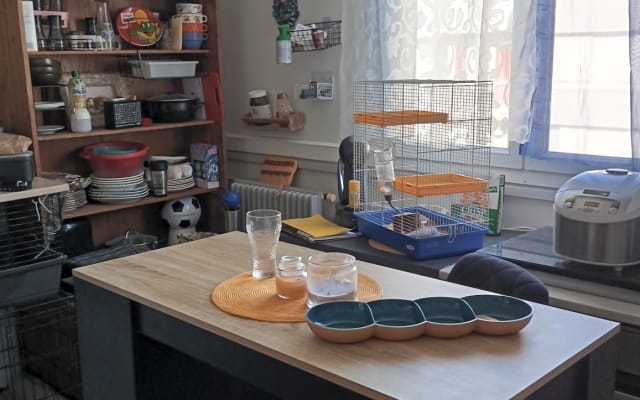 small apartment not far from the city to meet people