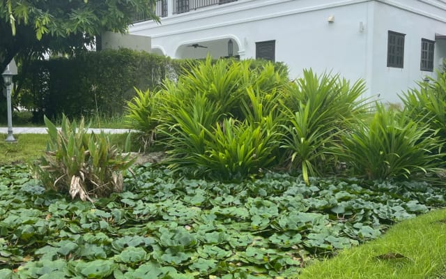 Villa con piscina privada de estilo colonial a 15 minutos del aeropuerto CNX - Foto 5